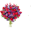 flowers - Drugo - 