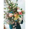 flowers - 植物 - 