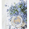 flowers - 植物 - 