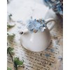 flowers - Pflanzen - 