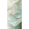 flowers - Plantas - 
