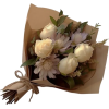 flowers - Biljke - 