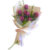 flowers - Plants - 