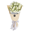 flowers - Plants - 