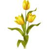 flowers - Plants - 