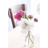 flowers - Plants - 