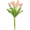 flowers - 植物 - 