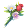 flowers - Plantas - 