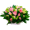 flowers - Plantas - 