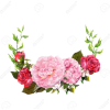 flowers - Plants - 