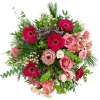 flowers - Biljke - 