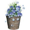 flowers - Rastline - 