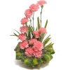 flowers - Plantas - 