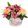 flowers - Plantas - 