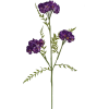 flowers - Pflanzen - 