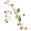 flowers - Растения - 