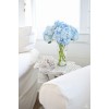 flowers - Plantas - 
