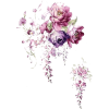 flowers - Biljke - 