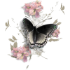 flowers & butterflies - Uncategorized - 