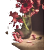flowers photo - Uncategorized - 