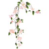 flower vines - Pflanzen - 