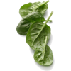 food - フード - 