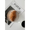 food - Food - 