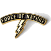 force of nature pin - Pozostałe - 