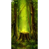 forest - Background - 