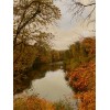 forest and river in autumn - 自然 - 