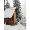 forest winter snow cabine photo - Uncategorized - 