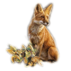fox - Animals - 