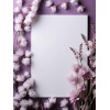 frames - Marcos - 