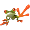 frog - 動物 - 