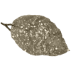 frosty leaves - Items - 