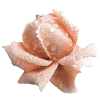 frosty rose - Predmeti - 