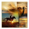 gallop - Мои фотографии - 