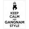 gangam style - フォトアルバム - 