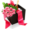 Gift Plants Pink - Rośliny - 