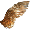 gold angel wings - Objectos - 