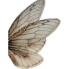 gold fairy wings - Predmeti - 