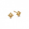 gold stud earrings - Ohrringe - 