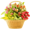 Flowers Beige Plants - Piante - 