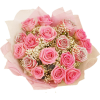 Flowers Pink Plants - Piante - 