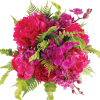 Flowers Pink Plants - Rastline - 