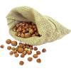 Nuts - Plantas - 
