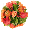 Flowers Orange Plants - Rośliny - 