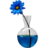 Flowers Blue Plants - Plantas - 