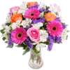 Flower Colorful Plants - Piante - 
