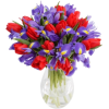 Flower Purple Plants - Rośliny - 
